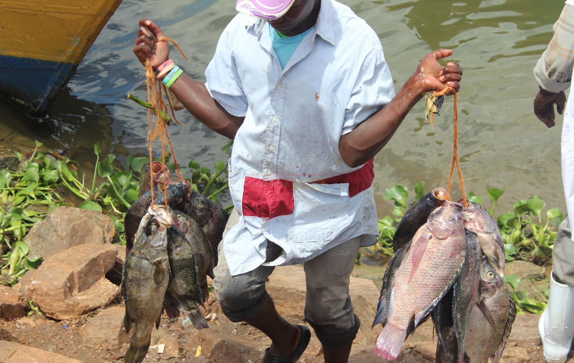 Increase in Lake Victoria Water Levels Reignites Kenya-Uganda Rift