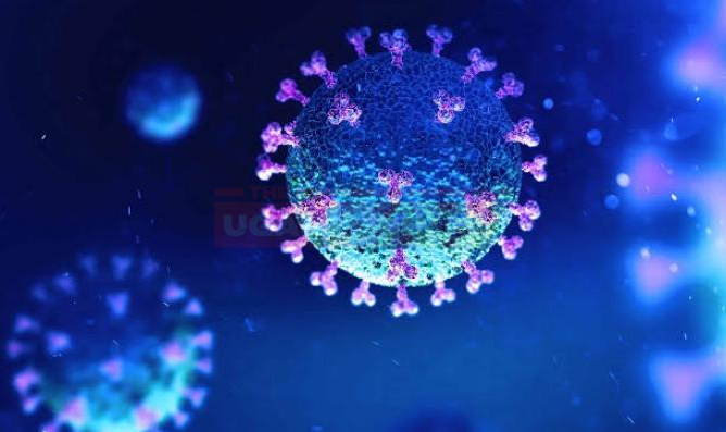 31 More People Test Positive for COVID-19