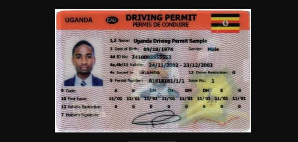 Face Technologies suspends issuing of driving permits over coronavirus