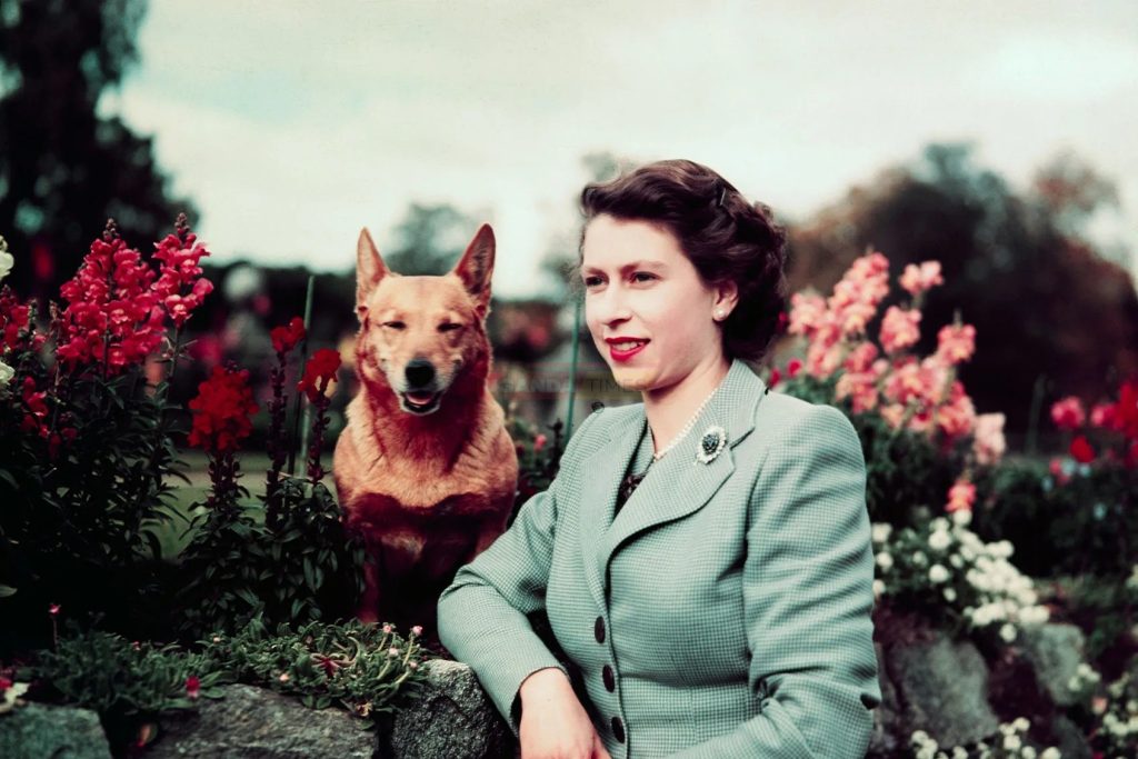 Now that Queen Elizabeth in dead, here are 7 things to know now from corgis to currency.