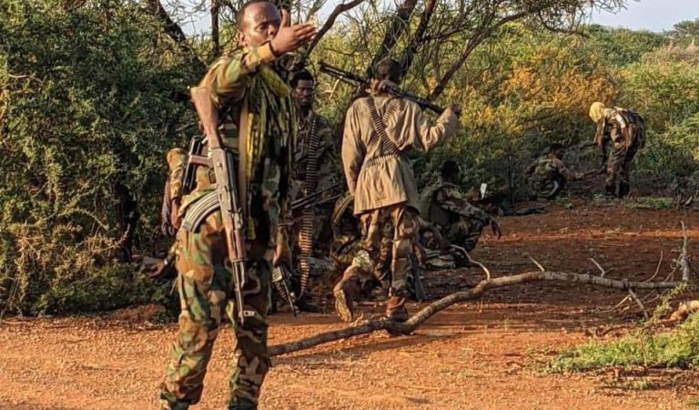 Somali Army Eliminates Al-Shabaab Finance Chief Somali Army Eliminates Al-Shabaab Finance Chief