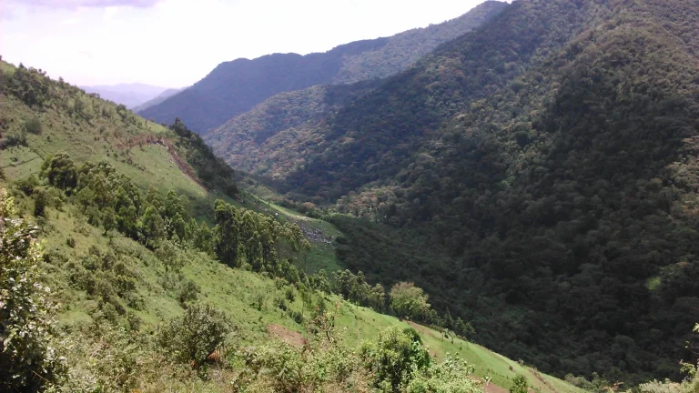 Kisoro officials embezzlement