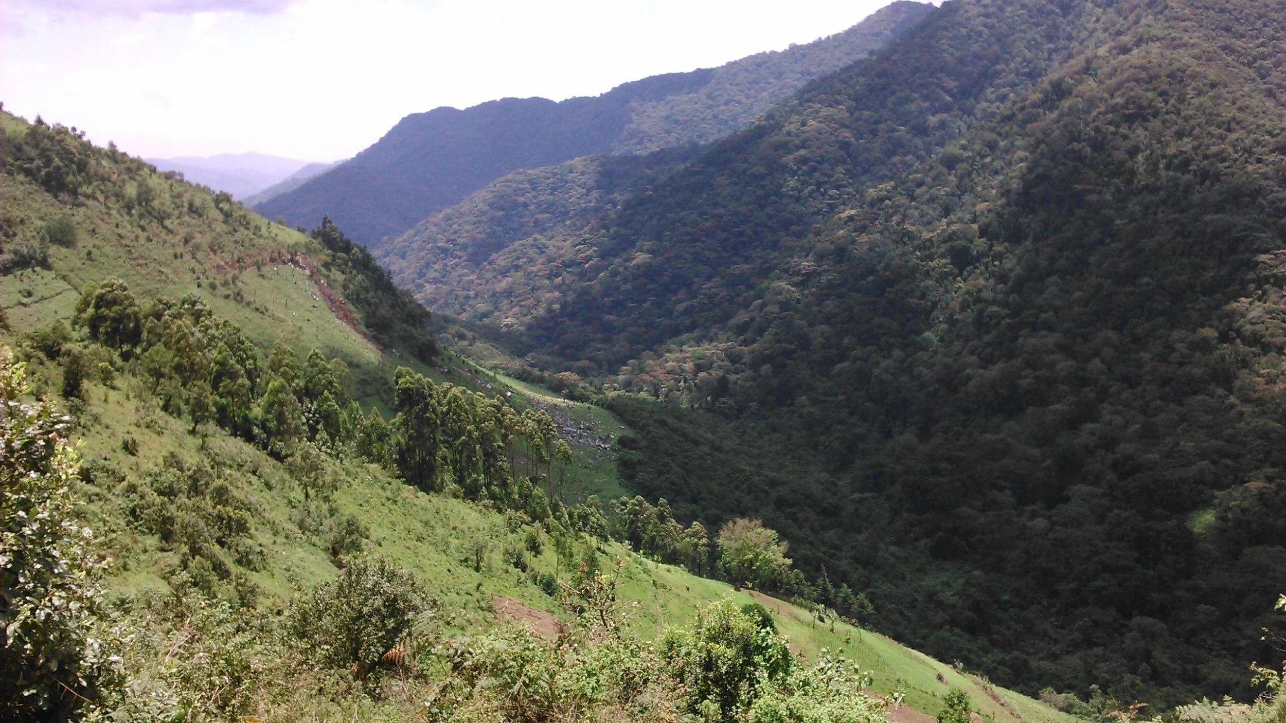 Kisoro officials embezzlement